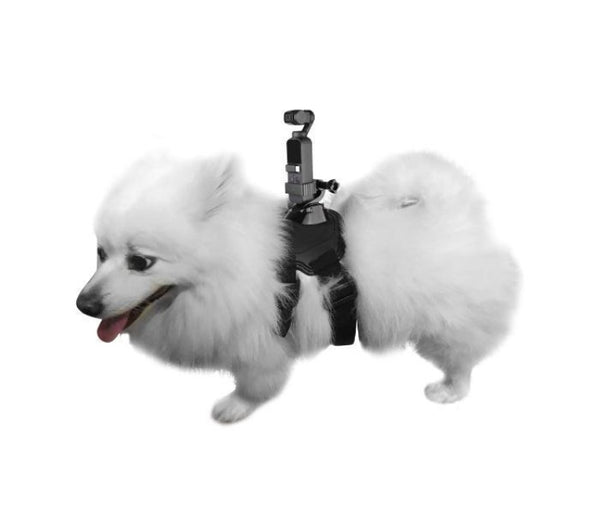 Dog Mount for Osmo Pocket 3 / Pocket 2 / Osmo Pocket